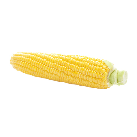 FRESH SWEETCORN